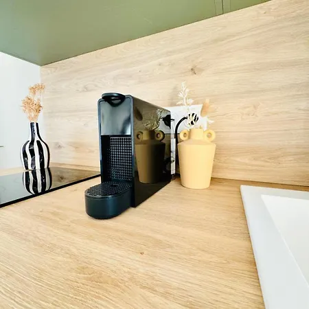 My Des Ammonites - Deauville