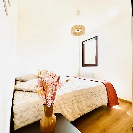 My Des Ammonites - Deauville