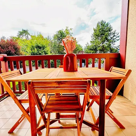 My Des Ammonites - Deauville