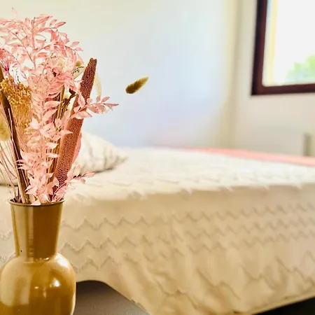 Апартаменты My Des Ammonites - Deauville