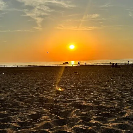 My Des Ammonites - Deauville Апартаменты